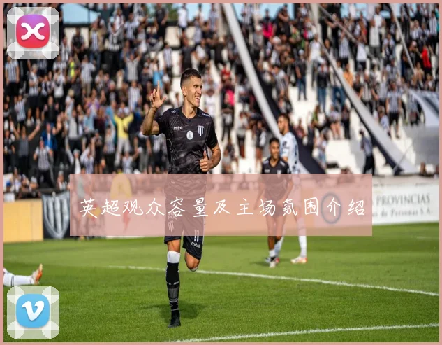 英超观众容量及主场氛围介绍