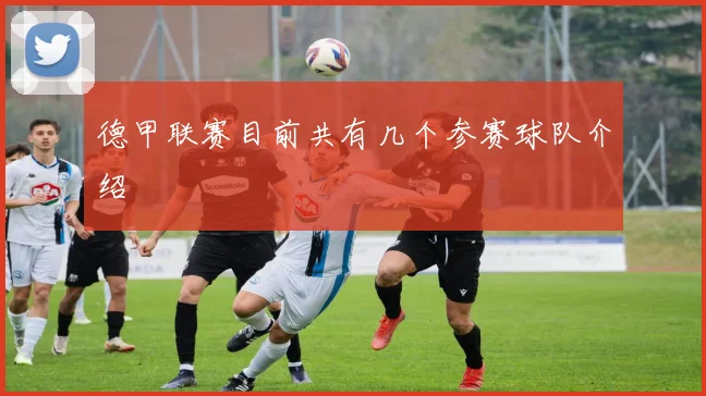 德甲联赛目前共有几个参赛球队介绍